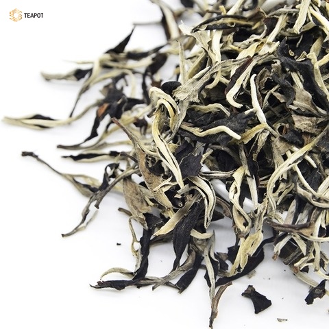 bach-tra-may-tui-shanam-4-1