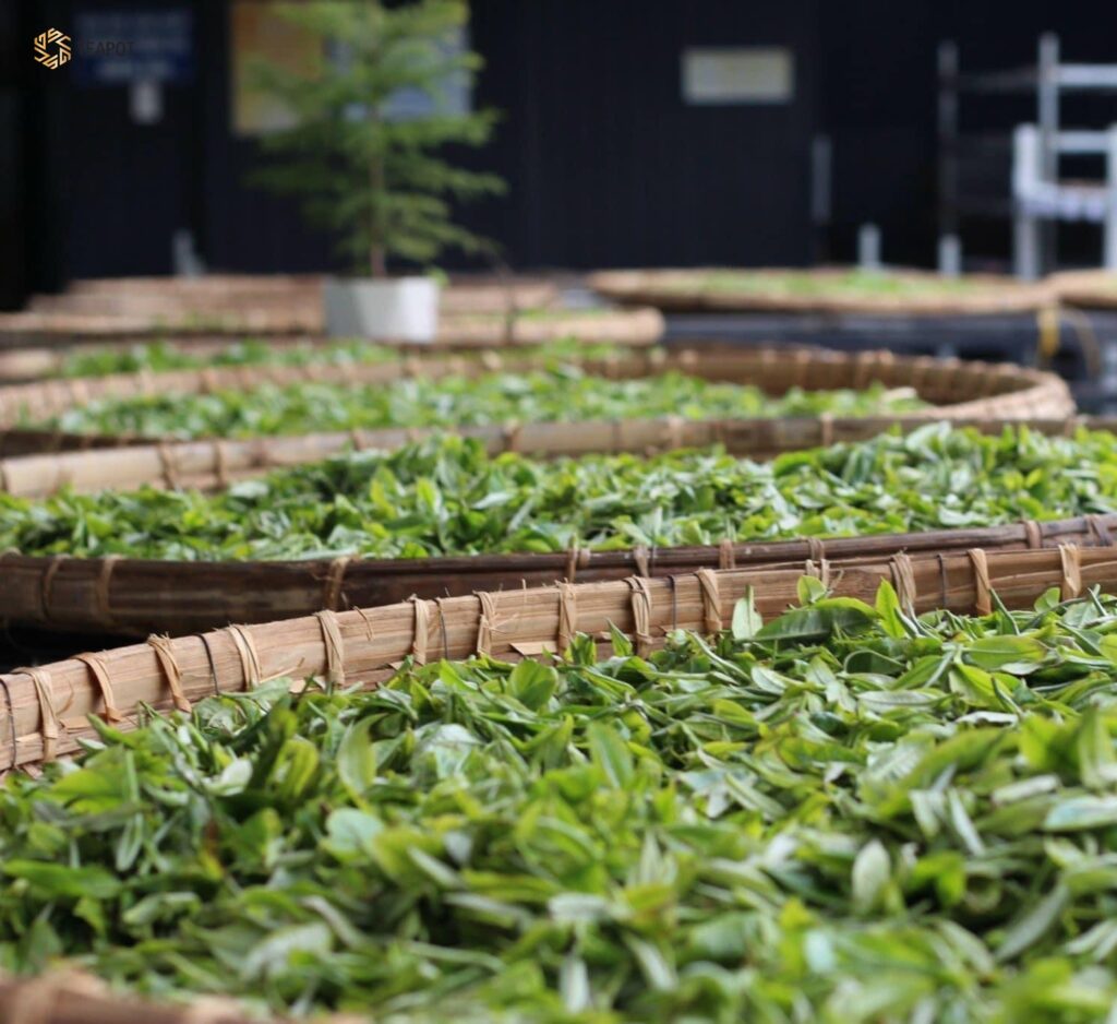 z5697930997525_dad010a893e50fa2c176ee36eeca6de8-1024x938-1